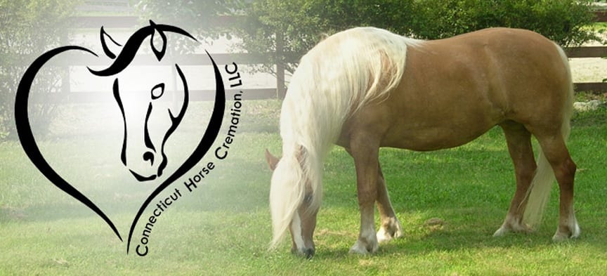 A horse grazing in the grass with a logo on it.
